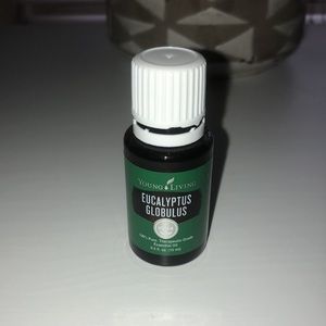 YL EUCALYPTUS GLOBULUS